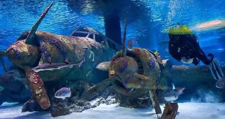 Antalya Aquarium Tour · 1