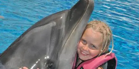 Schwimmen mit Delfinen