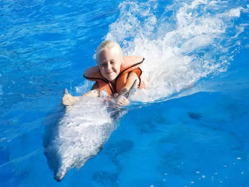 DELFIN SCHWIMMERLEBNIS