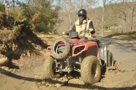 Quad Safari