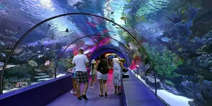 Antalya Aquarium Tour · 1